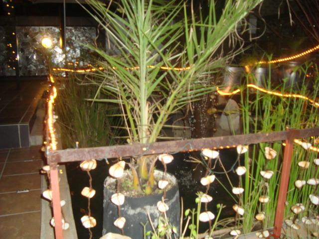 44 On Ennis Guest Lodge And Restaurant - No Load Sheddding Ermelo Luaran gambar