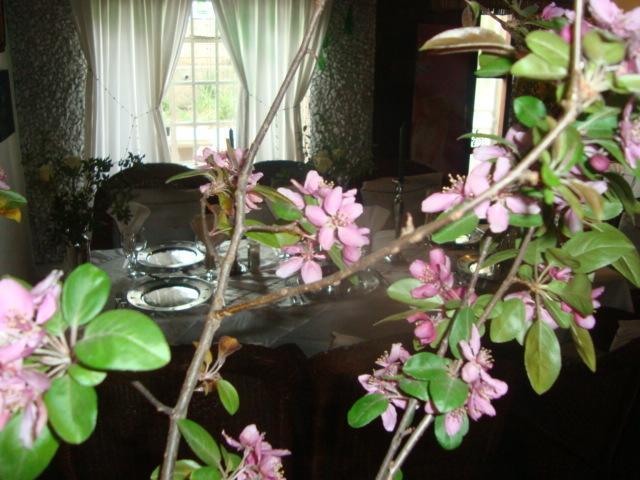 44 On Ennis Guest Lodge And Restaurant - No Load Sheddding Ermelo Luaran gambar